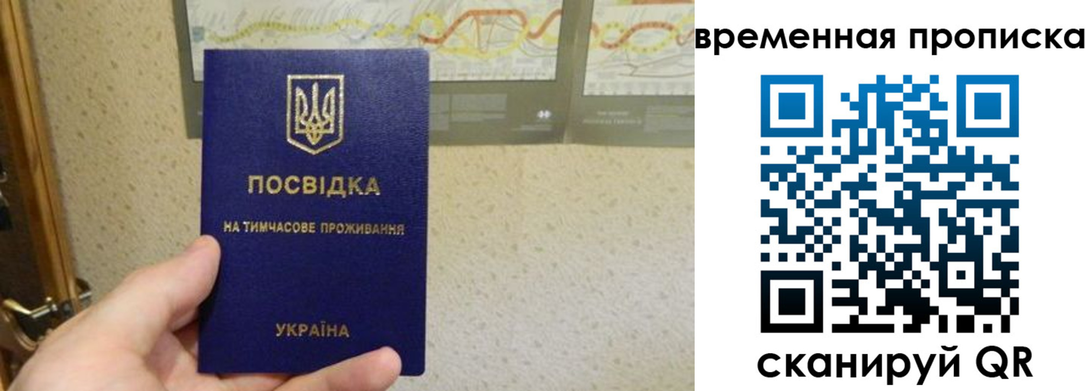 прописка для кредита в Трёхгорном